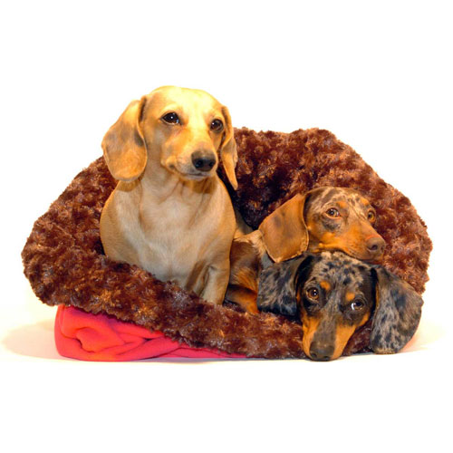 Chocolate and Berry Noodle Canoodle Dachshund Sack Bed