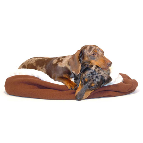 Vanilla and Chocolate Noodle Canoodle Dachshund Sack Bed