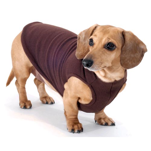Chocolate Noodle Stroodle Dachshund Sweater