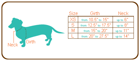dachshund neck size