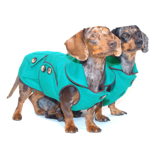 Truly Teal Dachshund Coat (Reversible)