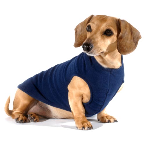 Navy Blue Noodle Stroodle Dachshund Sweater