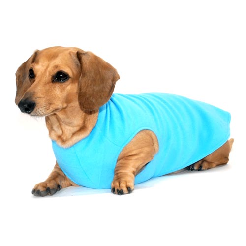 Sky Blue Noodle Stroodle Dachshund Sweater