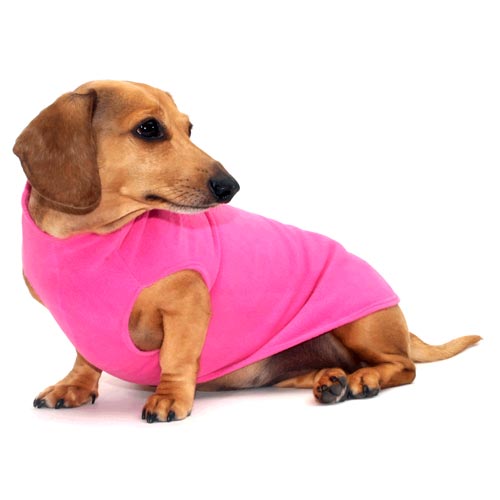 Petal Pink Noodle Stroodle Dachshund Sweater