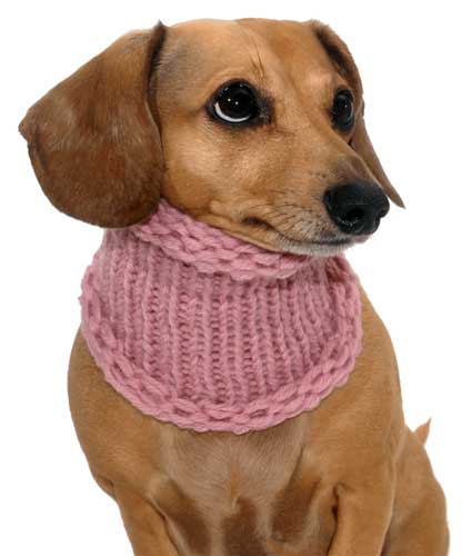 Blossom Pink Noodle Boodle Dachshund Neck Warmer