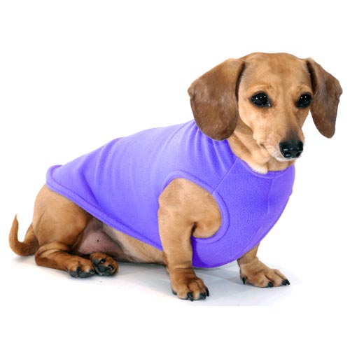 Periwinkle Noodle Stroodle Dachshund Sweater