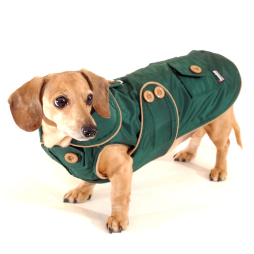 Forest Green Blizzard Dachshund Parka with Thinsulate
