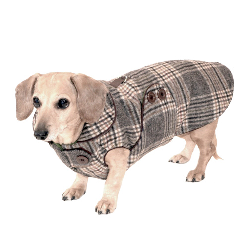 Donegal Plaid Dachshund Coat (Reversible)