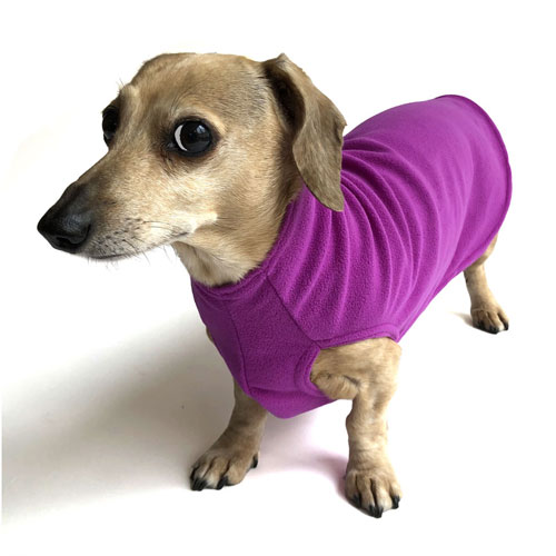 Magenta Noodle Stroodle Dachshund Sweater